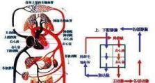怎么避免移动硬盘自动休眠,移动硬盘自动休眠解决方案与预防策略