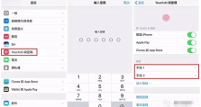 提升iPhone指纹识别灵敏度的实用技巧