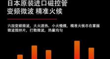 松下DA屏（揭开松下DA屏的独特魅力和前景）