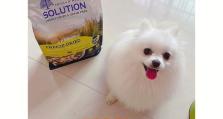 以畅亨狗粮如何满足宠物犬的营养需求（全面均衡的配方，为宠物犬提供健康成长）
