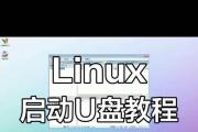 U盘个人制作教程（简单实用的U盘个性化定制方法及注意事项）