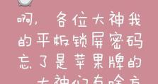 如何10秒解决苹果平板忘记锁屏密码（忘记苹果平板锁屏密码？这里有一个简单有效的解决方法）